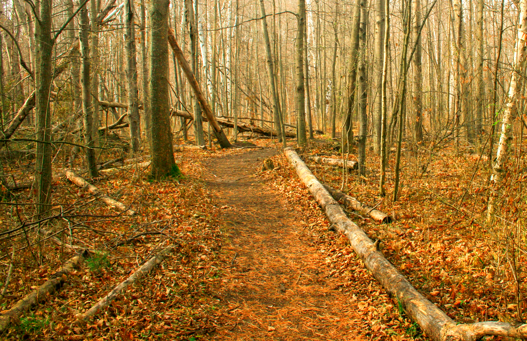 Clay Cliffs Natural Area
